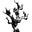 logo of Citizen Vine